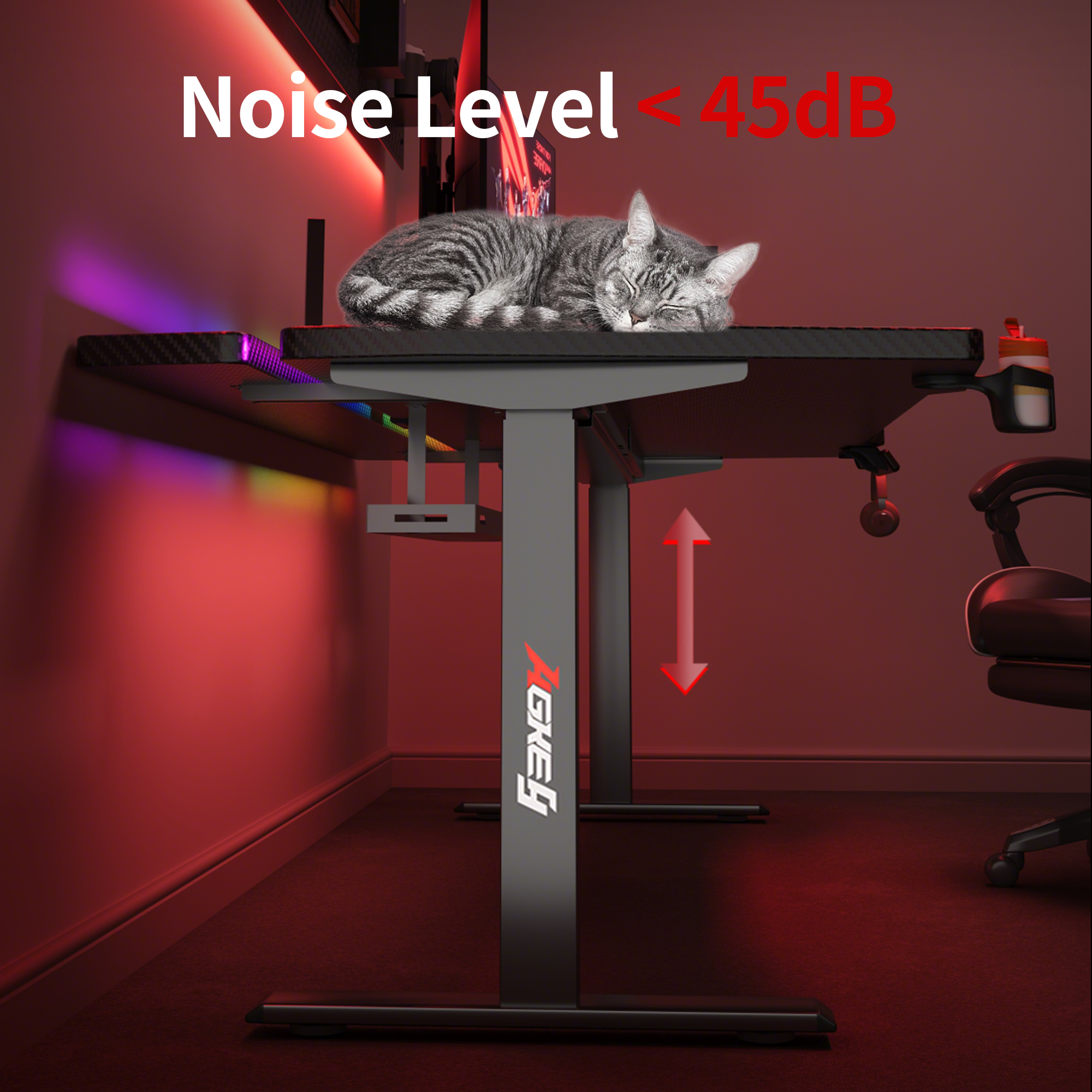 【Pre-order】K2 Dual Motor Standing Desk – Black